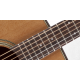 Takamine TK P1DC NAT Dreadnought Chitarra acustica elettrificata con custodia