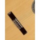 Alhambra 2CA Chitarra Classica