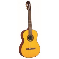 takamine g124