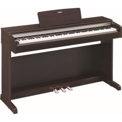 Yamaha arius ydr142r